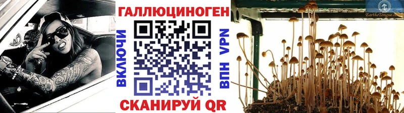 Псилоцибиновые грибы прущие грибы  Самара 