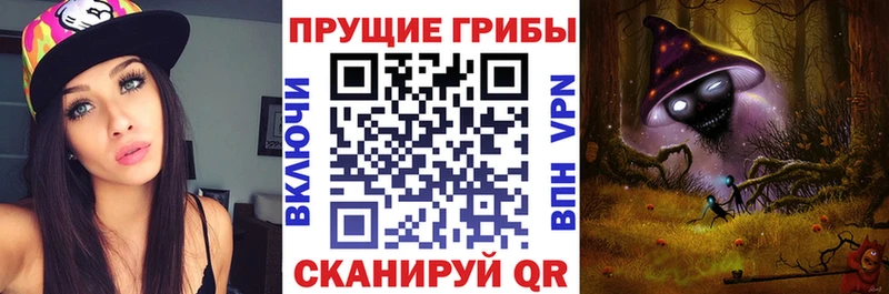 Псилоцибиновые грибы Cubensis Самара