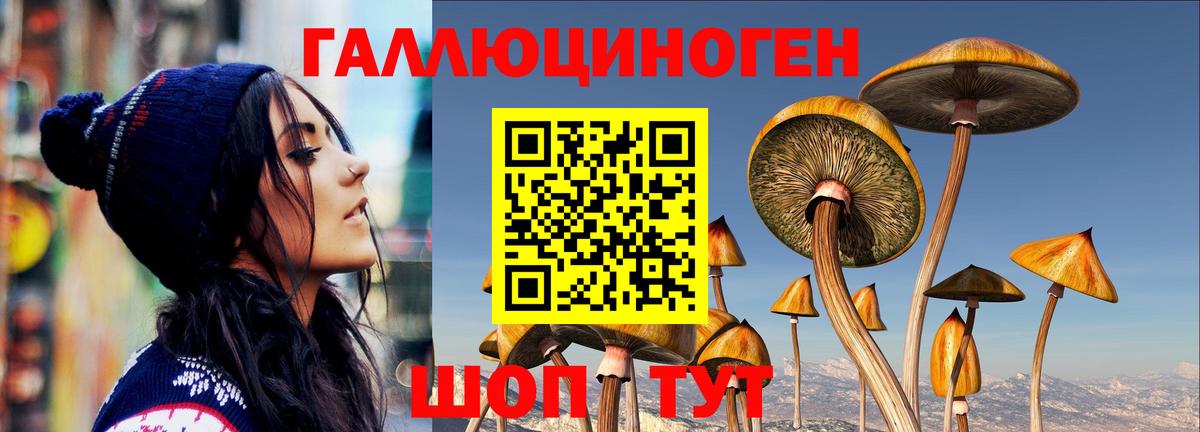 Самара  Галлюциногенные грибы прущие грибы  Вход с VPN 